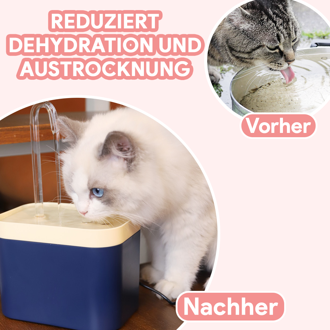 Wahre Katzenliebe™  Katzenbrunnen mit Waterflow® Filter - Wahre Katzenliebe