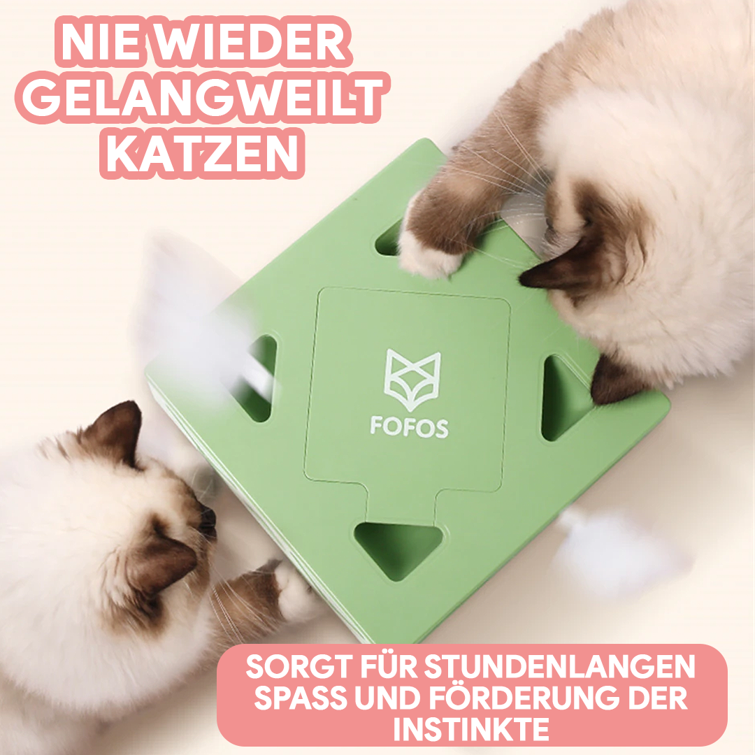 FunBox® interaktives Katzenspielzeug - Wahre Katzenliebe