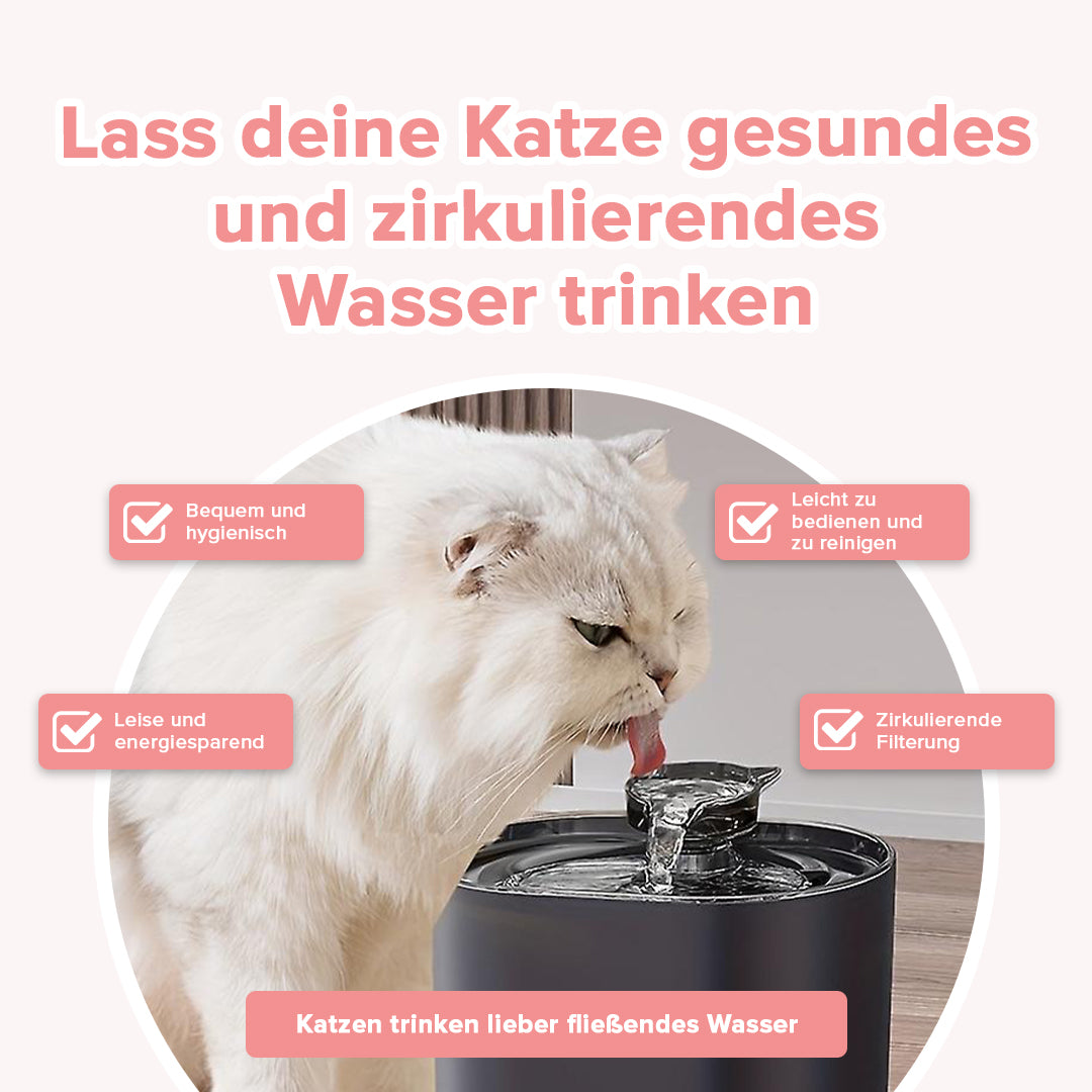 Katzen-Trinkwasserbrunnen - Wahre Katzenliebe