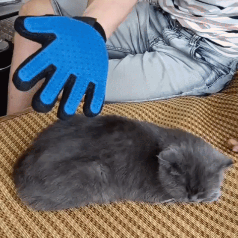 Pflege und Massagehandschuh für Katzen - Wahre Katzenliebe