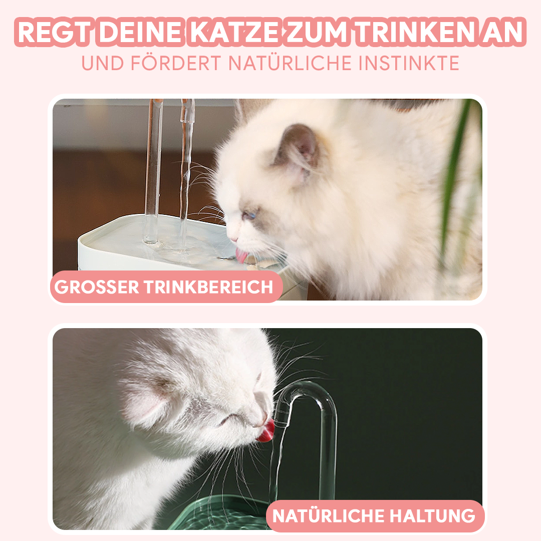 Wahre Katzenliebe™  Katzenbrunnen mit Waterflow® Filter - Wahre Katzenliebe