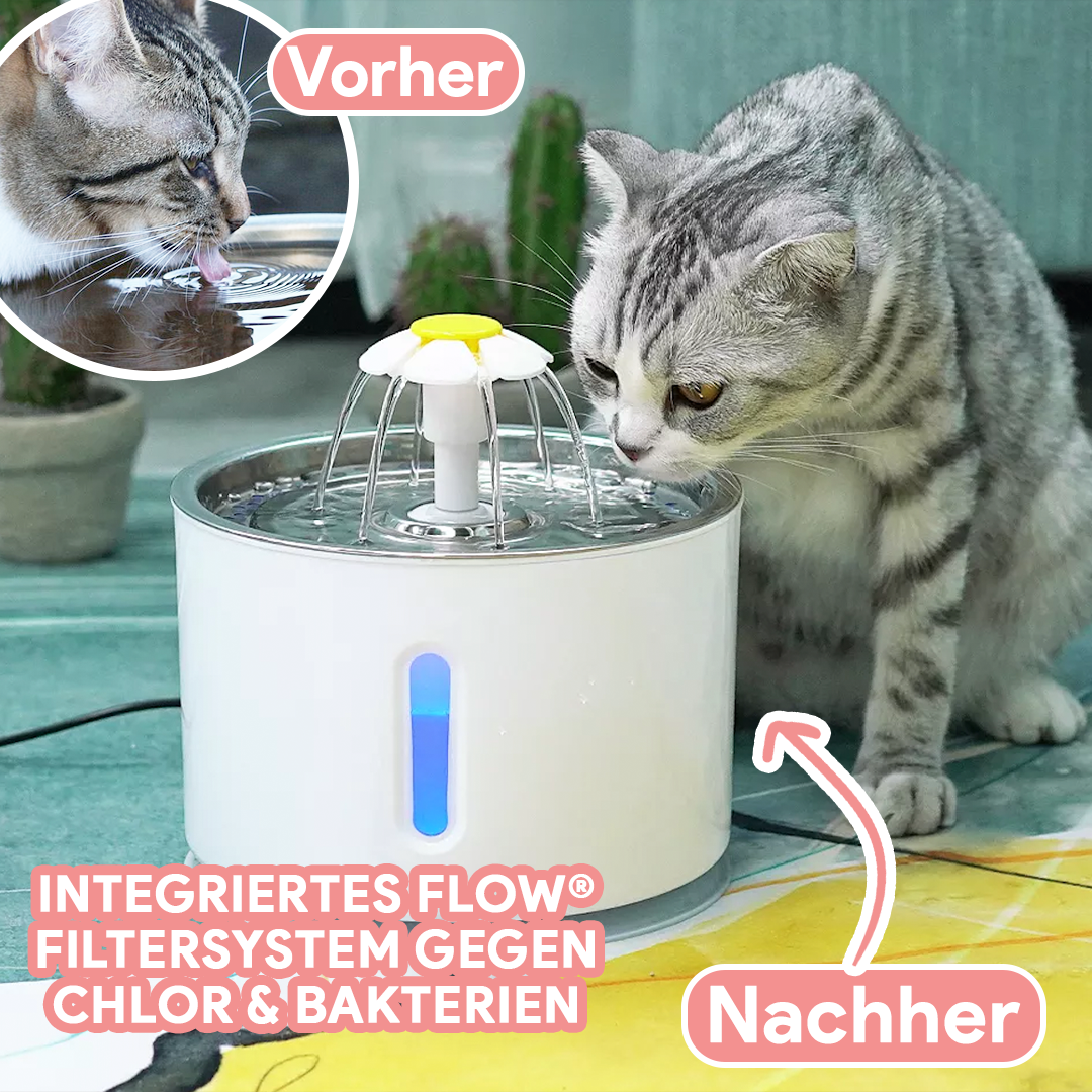PureFlow® V.3. - Trinkbrunnen für Katzen - Wahre Katzenliebe