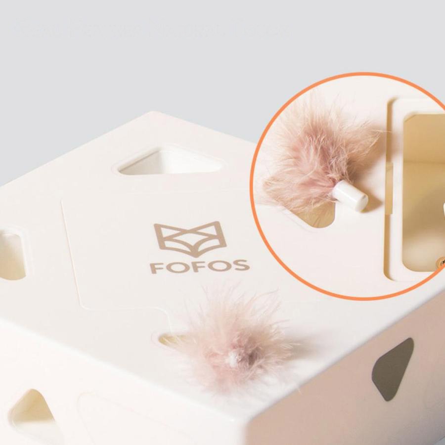 Ersatzfedern für Funbox® - Wahre Katzenliebe