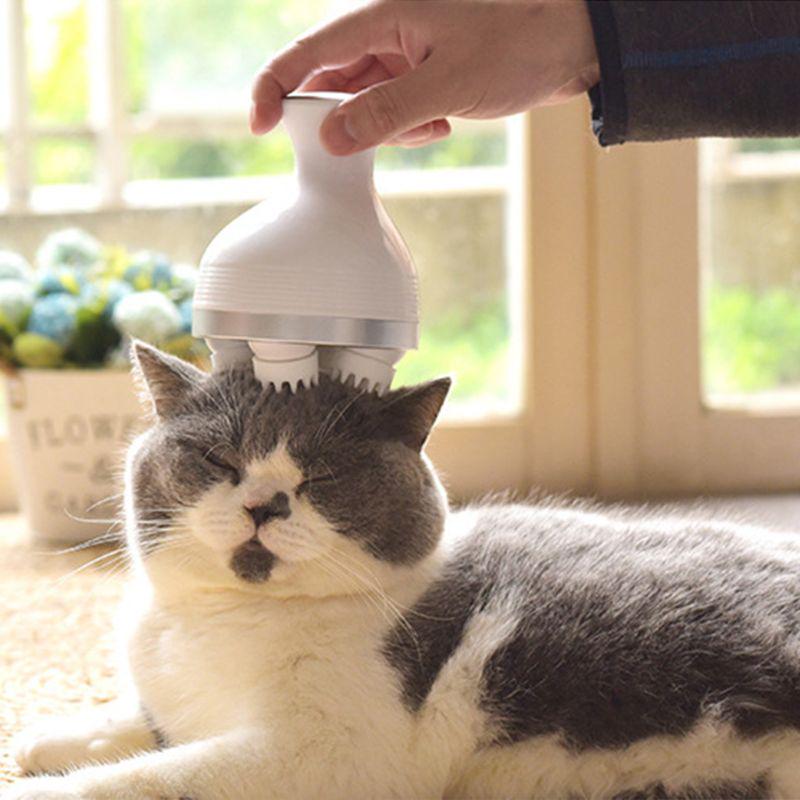 Wahre Katzenliebe™ - Massagegerät für Katzen - Wahre Katzenliebe